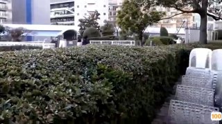 被女婿侵犯的岳母 佐倉由美子